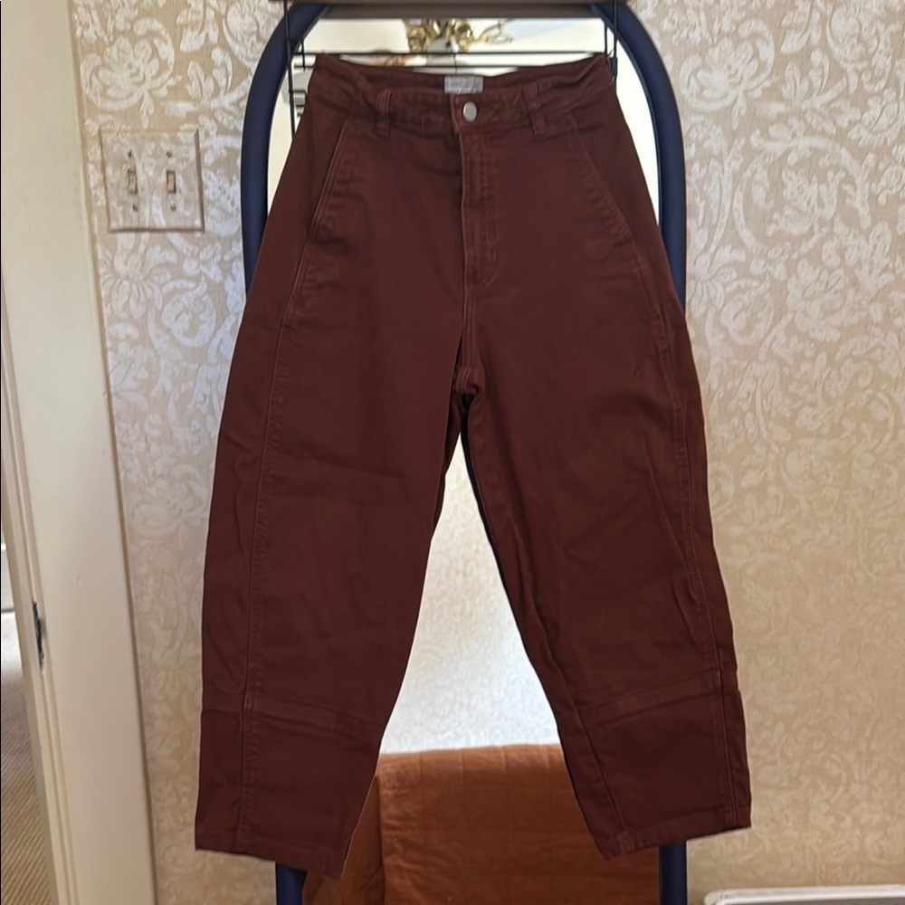Everlane Utility Barrel Pants 6